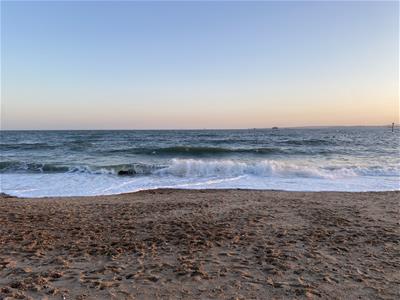 Picture 7
